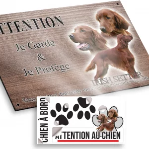 Plaque attention au chien Irish Setter avec trois portraits et un chien entier