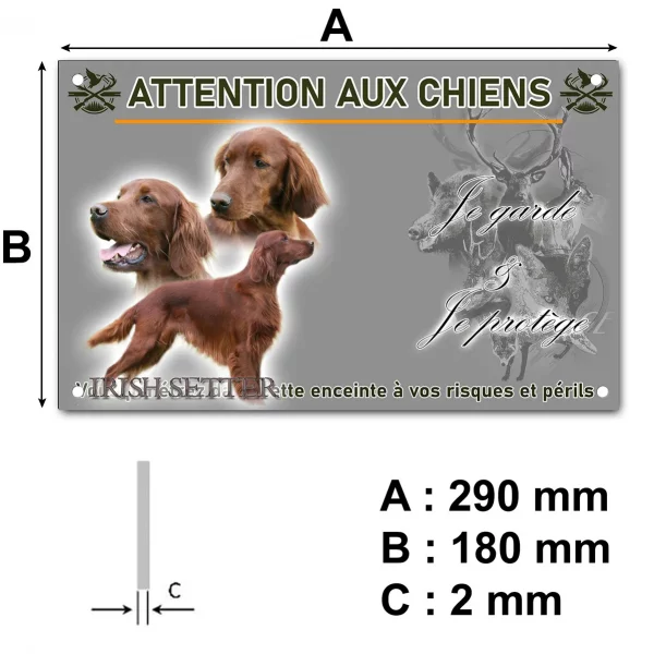 Pancarte Irish Setter avec trois portraits et un chien entier