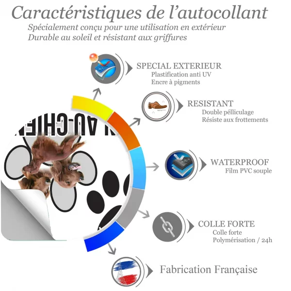 Chien a bord Irish Setter avec trois portraits et un chien entier
