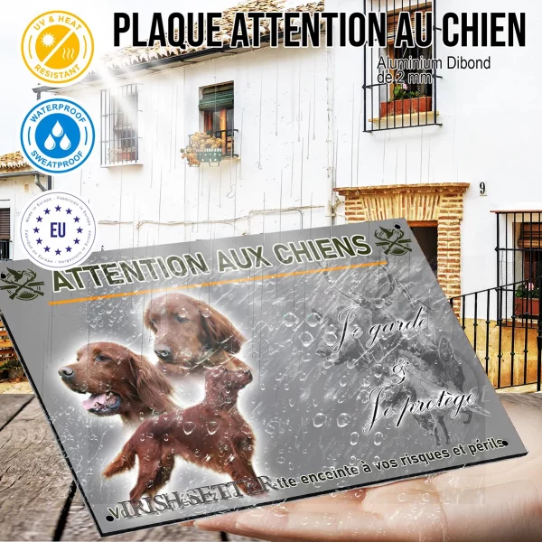 Panneau Irish Setter avec trois portraits et un chien entier