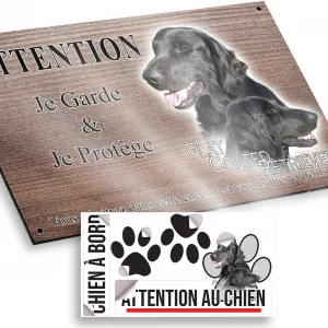 Plaque attention au chien Deux Flat Coated Retrievers en gros plan