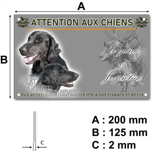 Panneau Deux Flat Coated Retrievers en gros plan