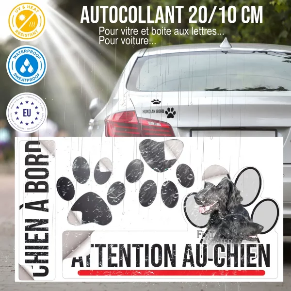 Plaque chien de garde Deux Flat Coated Retrievers en gros plan