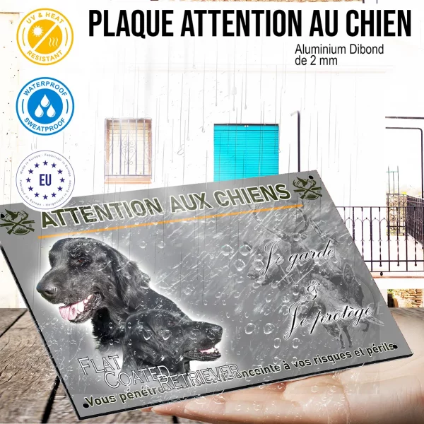 Panneau Deux Flat Coated Retrievers en gros plan
