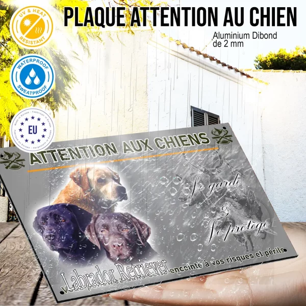 Panneau Trois chiens Labrador Retriever portrait