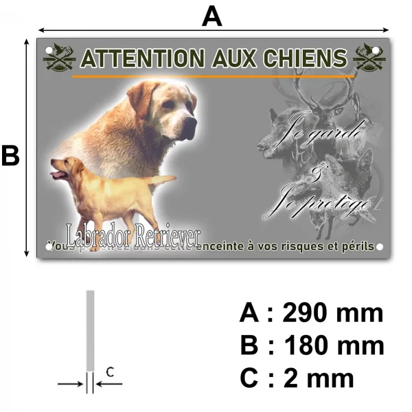 Pancarte Illustrations de deux Labrador Retrievers