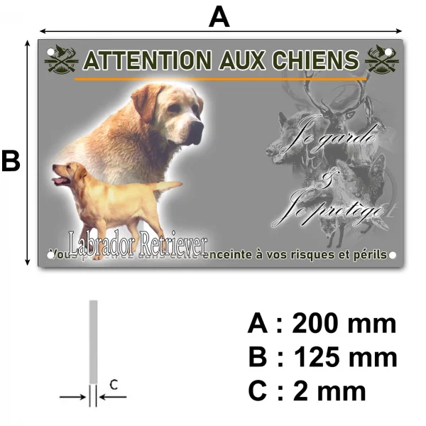 Panneau Illustrations de deux Labrador Retrievers
