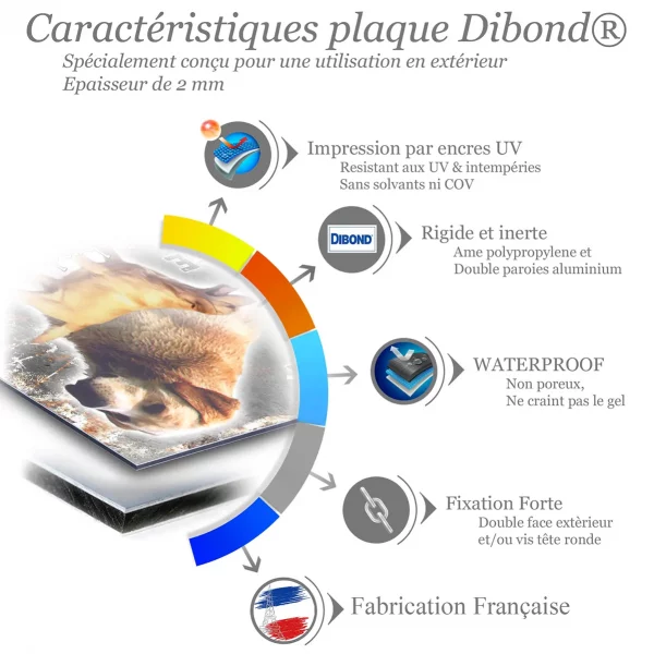Je monte la garde Illustrations de deux Labrador Retrievers