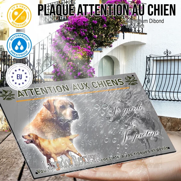 Panneau Illustrations de deux Labrador Retrievers