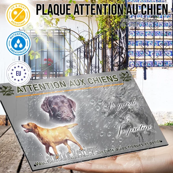Panneau Deux Labrador Retrievers un noir et un jaune