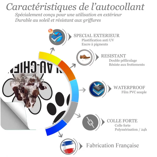 Chien a bord Trois English Springer Spaniels avec décor graphique
