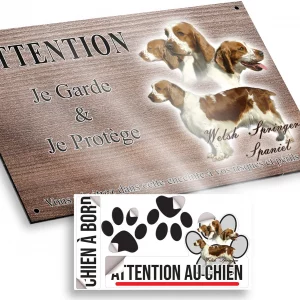 Plaque attention au chien Welsh Springer Spaniel en multiple angles de vue