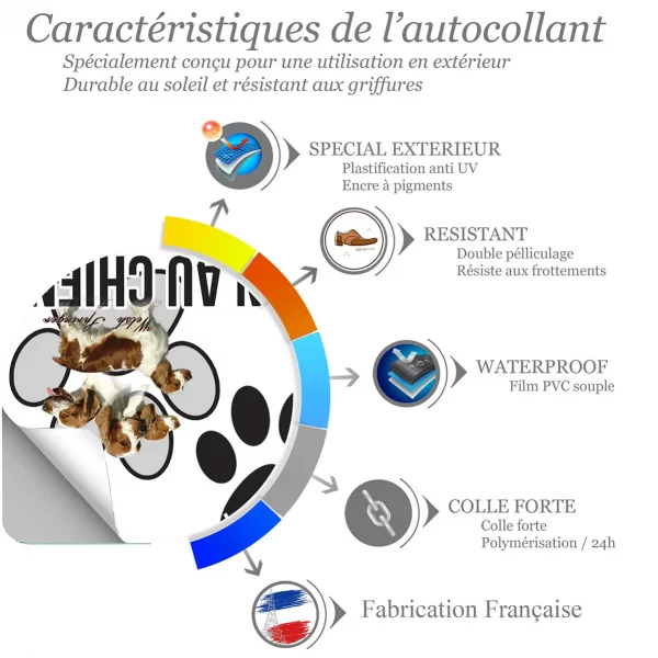 Chien a bord Welsh Springer Spaniel en multiple angles de vue