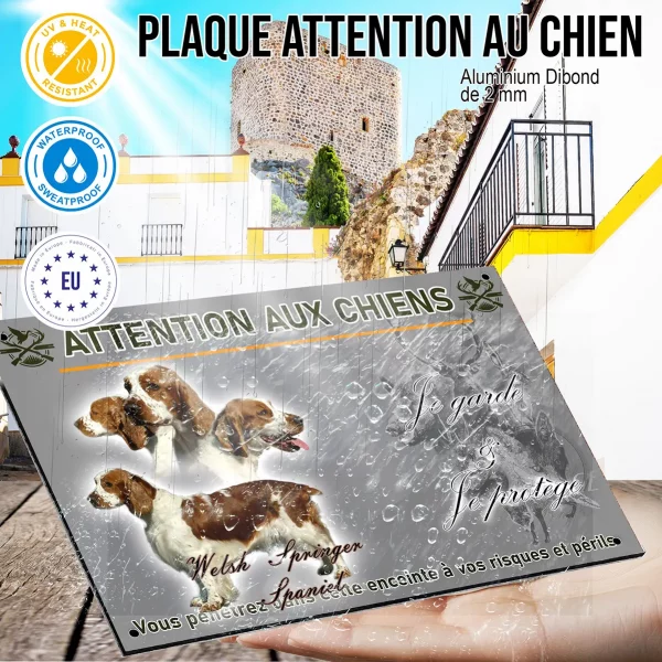 Panneau Welsh Springer Spaniel en multiple angles de vue