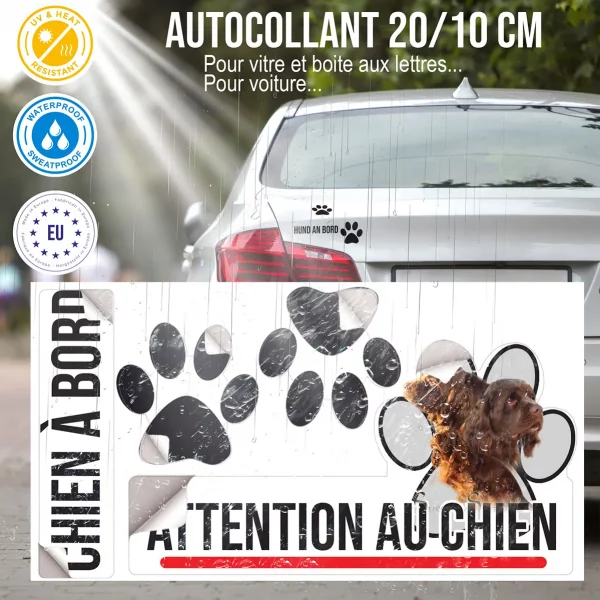 Plaque chien de garde Trois Sussex Spaniels en gros plan sur fond clair