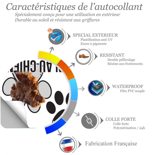 Chien a bord Trois Sussex Spaniels en gros plan sur fond clair