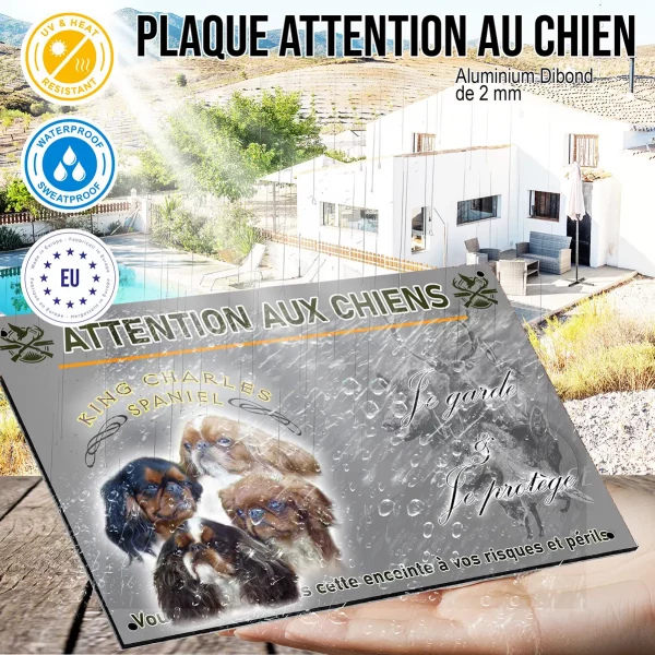 Panneau Quatre chiens King Charles Spaniel sur fond noir