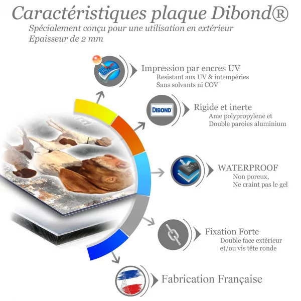Je monte la garde Braque Français : 3 chiens