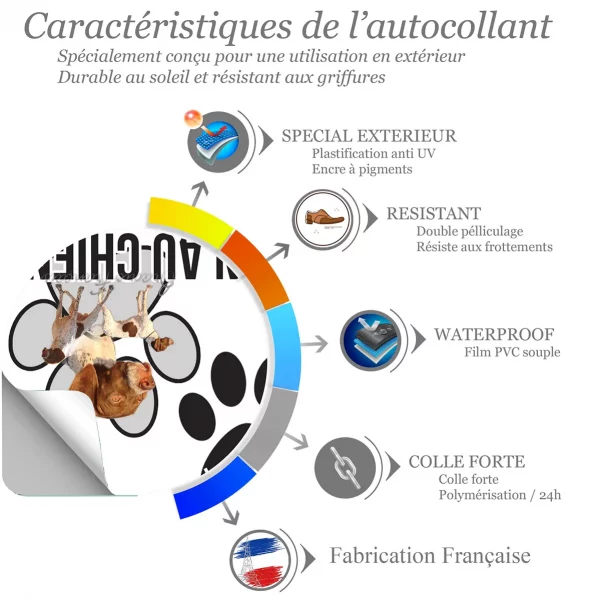 Chien a bord Braque Français : 3 chiens