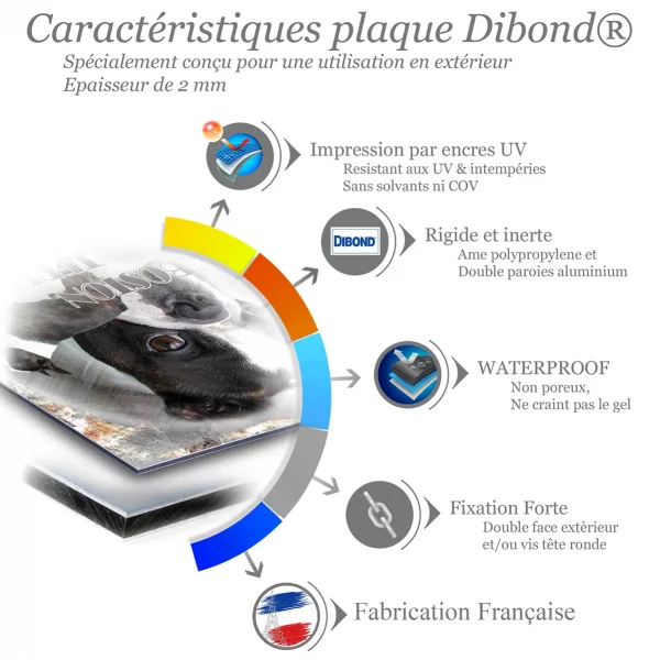 Je monte la garde Boston Terrier en gros plan avec un chien entier