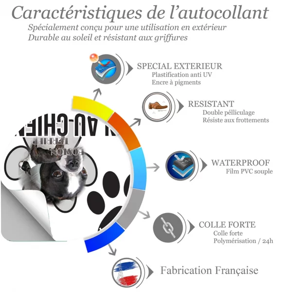Chien a bord Boston Terrier en gros plan avec un chien entier