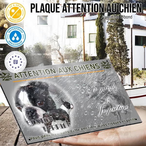 Panneau Boston Terrier en gros plan avec un chien entier