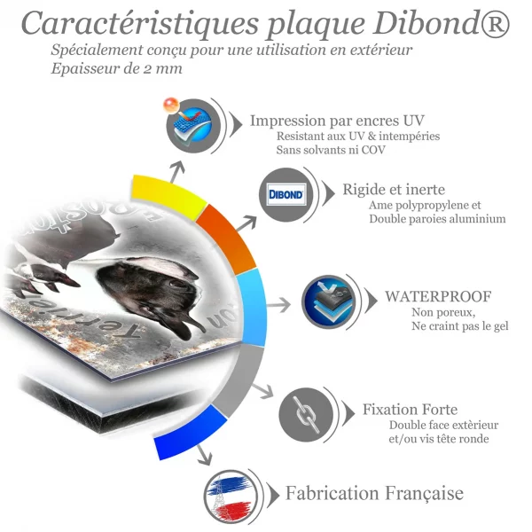 Je monte la garde Boston Terrier avec divers angles et texte