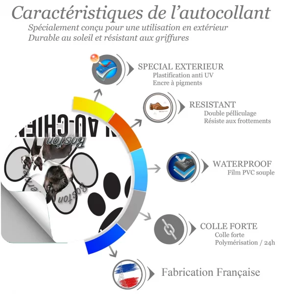 Chien a bord Boston Terrier avec divers angles et texte