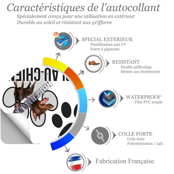Chien a bord Image de deux Dobermanns avec texte