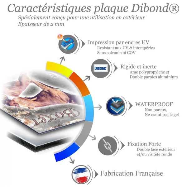 Je monte la garde Deux Boxers en pose dynamique avec texte