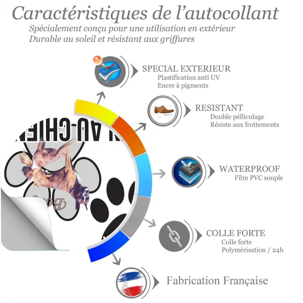 Chien a bord Deux Boxers en pose dynamique avec texte