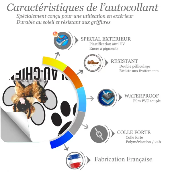 Chien a bord Un Leonberg avec un arrière plan coloré