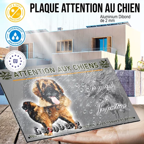 Panneau Un Leonberg avec un arrière plan coloré