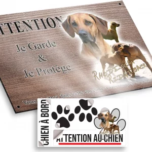 Plaque attention au chien Portrait et plusieurs Rhodesian Ridgeback en train de jouer.