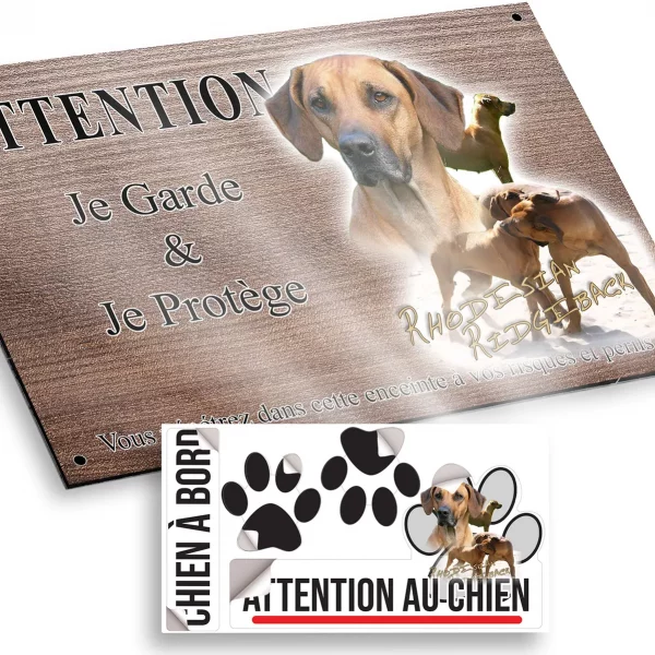 Plaque attention au chien Portrait et plusieurs Rhodesian Ridgeback en train de jouer.