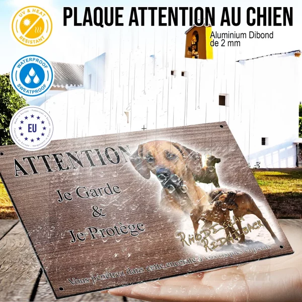 Panneau attention au chien Portrait et plusieurs Rhodesian Ridgeback en train de jouer.