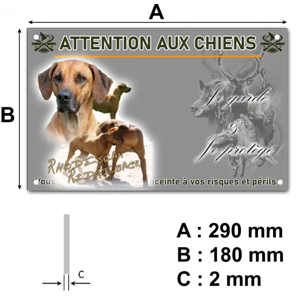 Pancarte Portrait et plusieurs Rhodesian Ridgeback en train de jouer.