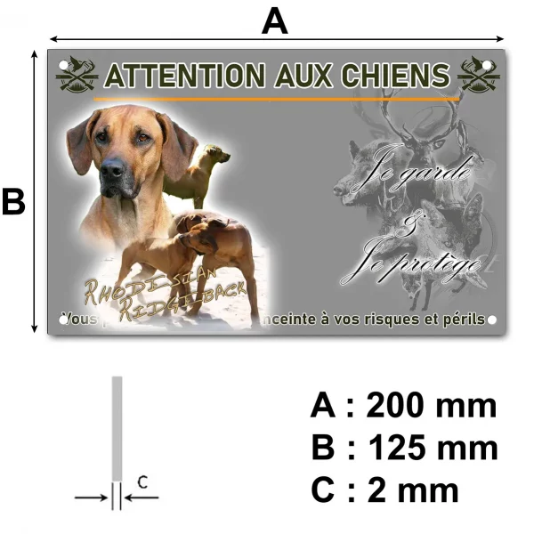 Panneau Portrait et plusieurs Rhodesian Ridgeback en train de jouer.