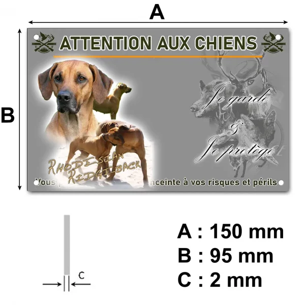 Plaque Portrait et plusieurs Rhodesian Ridgeback en train de jouer.