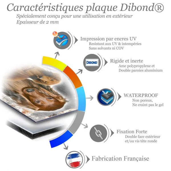 Je monte la garde Visuel de deux Teckels à poil long avec le texte Teckel