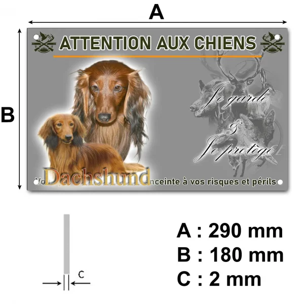 Pancarte Deux Dachshunds au pelage brun