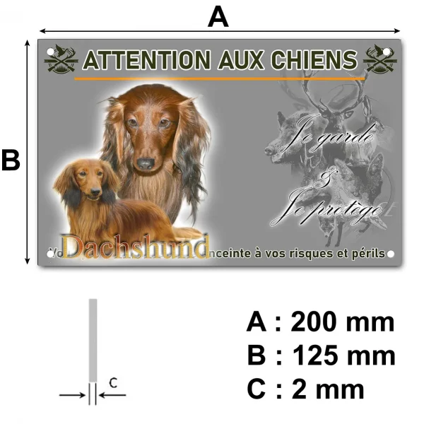Panneau Deux Dachshunds au pelage brun