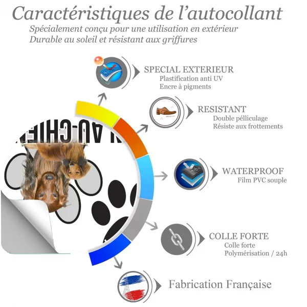 Chien a bord Deux Dachshunds au pelage brun