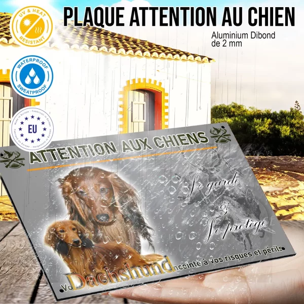 Panneau Deux Dachshunds au pelage brun