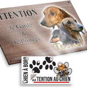 Plaque attention au chien Trois Teckels en gros plan sur fond vert