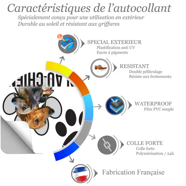Chien a bord Trois Teckels en gros plan sur fond vert