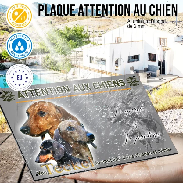 Panneau Trois Teckels en gros plan sur fond vert