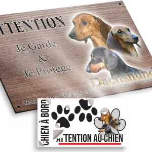 Plaque attention au chien Trois portraits de Dachshund sur fond vert foncé