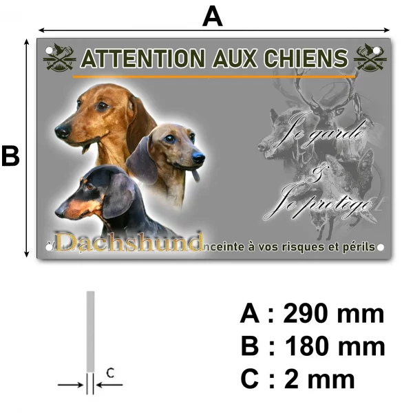 Pancarte Trois portraits de Dachshund sur fond vert foncé