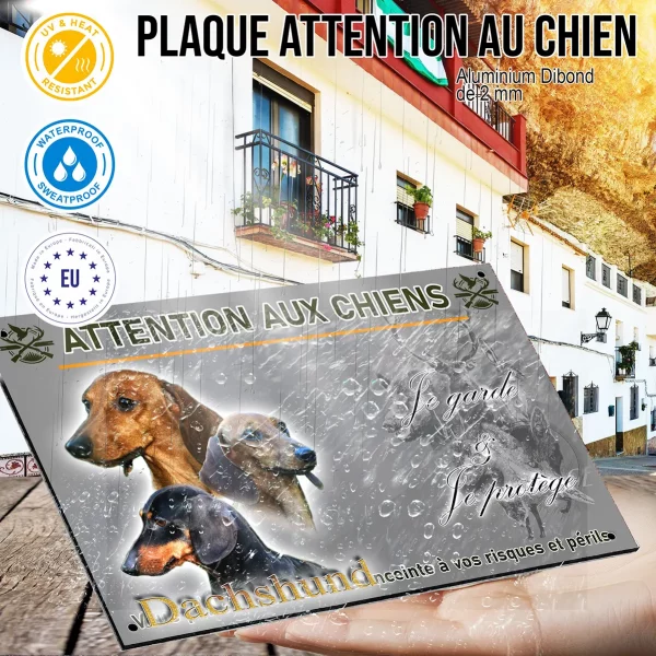 Panneau Trois portraits de Dachshund sur fond vert foncé
